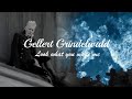 Gellert Grindelwald | Look what you made me do