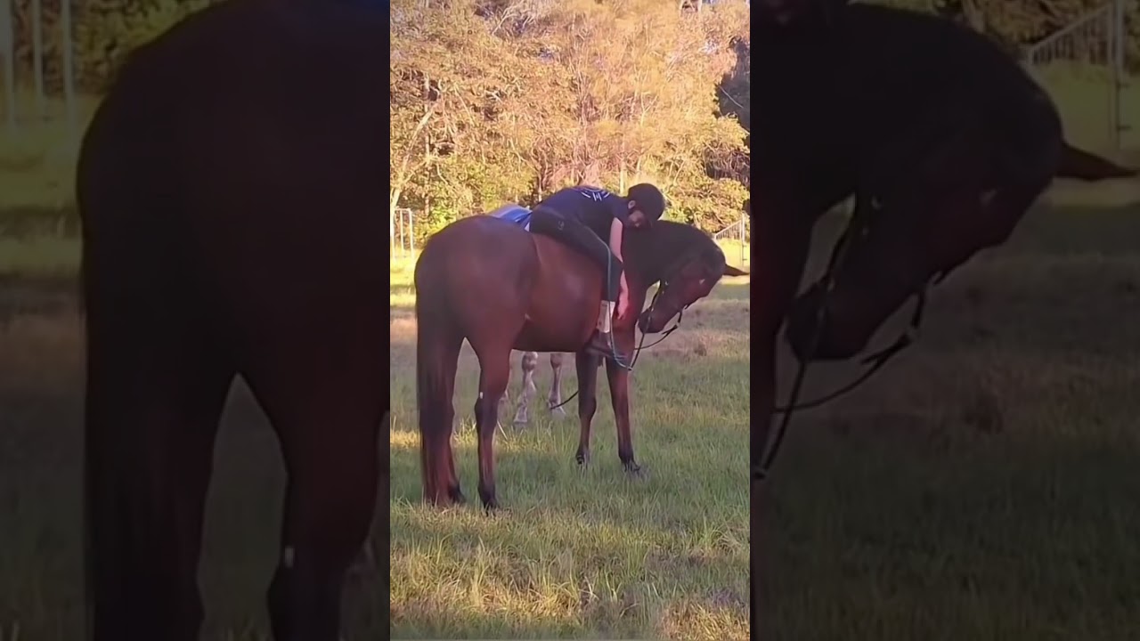 bareback and bit less😍 