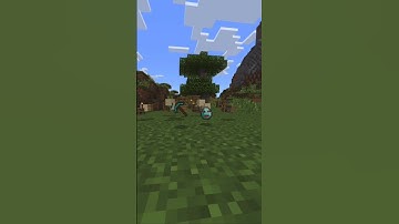 When your items despawn on Minecraft. #minecraft #minecraftanimation #minecraftshorts