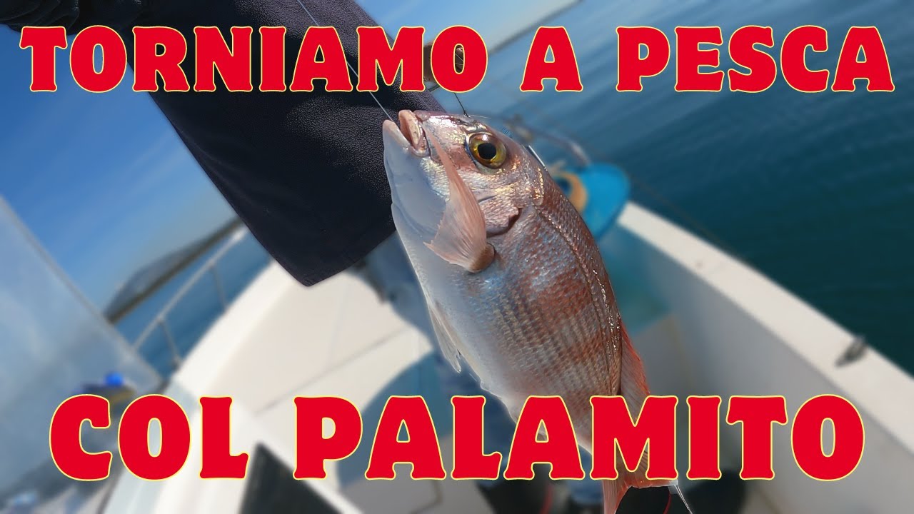 TORNIAMO a PESCA col PALAMITO