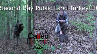 Public Land Birds Gobbling IN OUR FACE!! Can We Seal the Deal?? II IN Opening Week Turkey Hunting