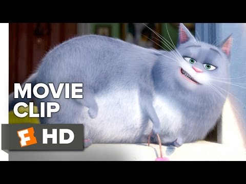 Still from the movie The Secret Life of Pets