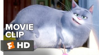 The Secret Life of Pets Movie CLIP - New Dog (2016) - Louis C.K., Lake Bell Movie HD