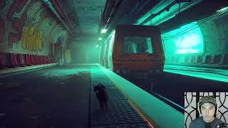 Stray | Part 11 (Final)