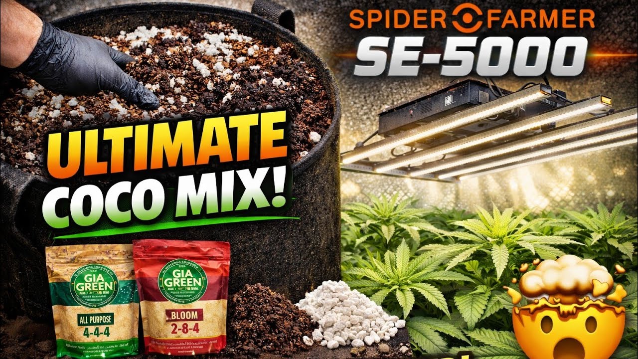 Don’t Start a Grow Without This Coco Mix | SpiderFarmer SE-5000