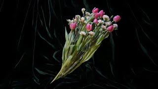 Her's - Breathing Easy Synth Stems [HQ] [SB67 Mix]