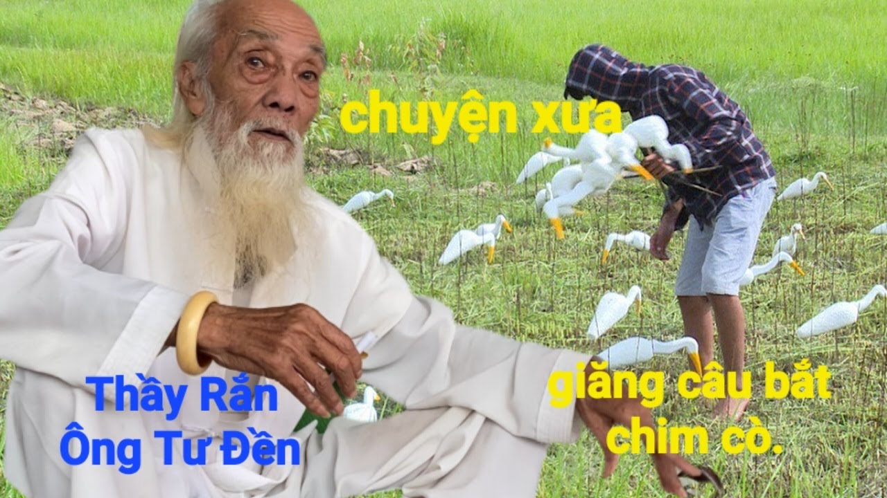 Хозяин змей (мистер Ту Дэн) отправляется на охоту, рыбалку и ловит аистов. И другие очень интерес...