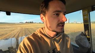 Planting High Oleic Soybeans For Dairy Cow Feed