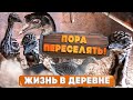 ПОРА ПЕРЕСЕЛЯТЬ ! ГРЯДКИ БУДУТ ! [Жизнь в деревне]