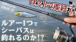 【シーバス】ロストで即終了！ ルアー1つでシーバスは釣れるのか!? ポジドライブガレージ ジグザグベイト 120F編