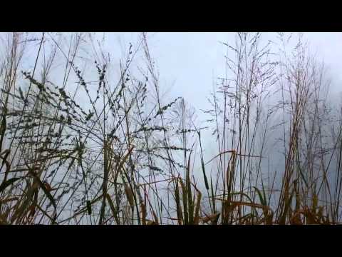 미움 讨厌  Vocal.손주희 - 에피톤프로젝트 Epitone Project (各自的夜)