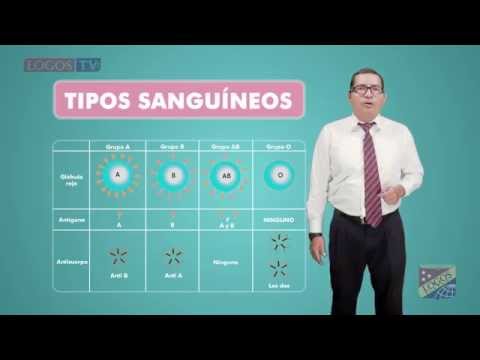 Video: ¿Cuáles son los alelos de los tipos de sangre?