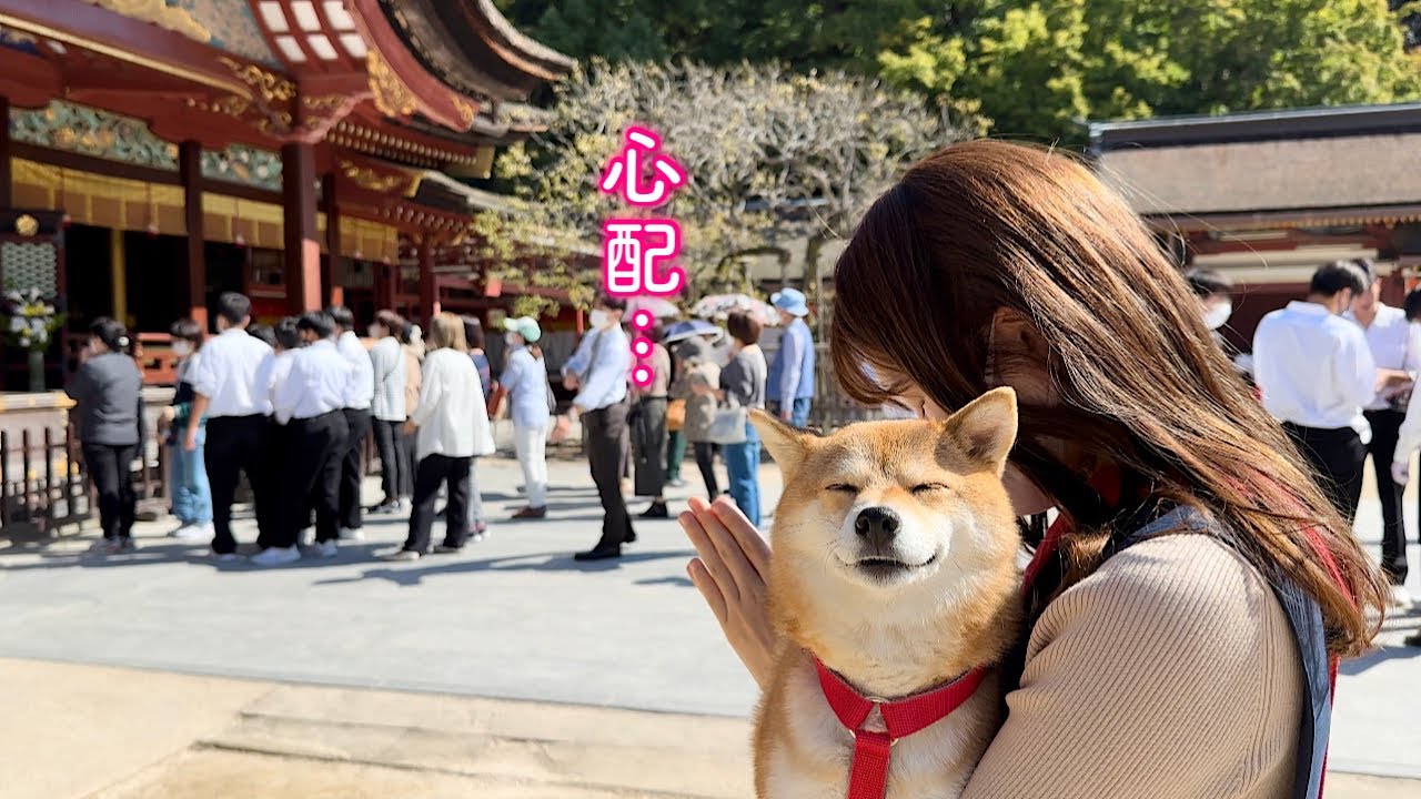 撮影中の動画に謎の女性の声が入っていて怖くなったので神社に行ってき