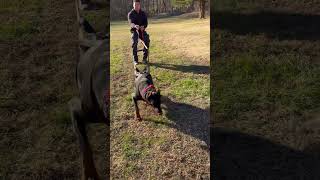 Working Those Muscles .