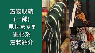 166. 進化系着物の収納をみせます! 新作進化系着物の紹介