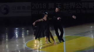 20180407小巨蛋舞王國標舞公開賽巨星表演10