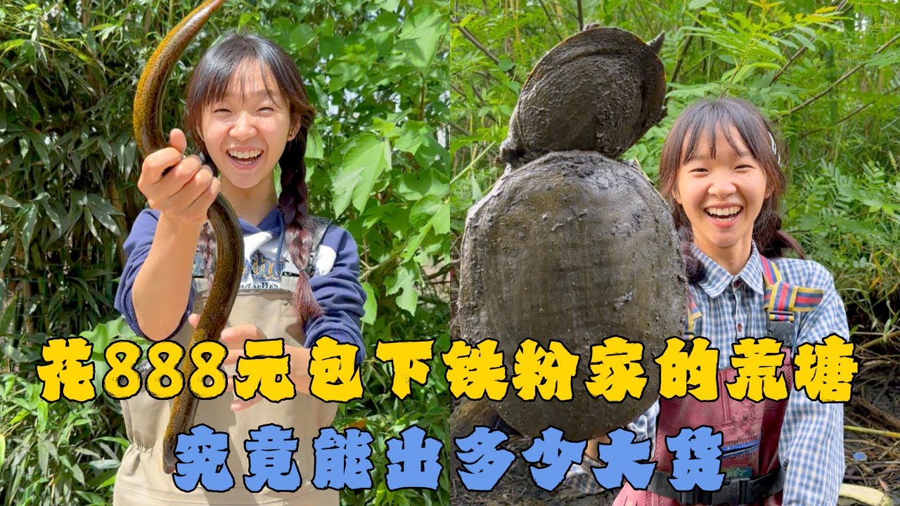 幺妹花888元包下铁粉家的荒塘，究竟能出多少大货？