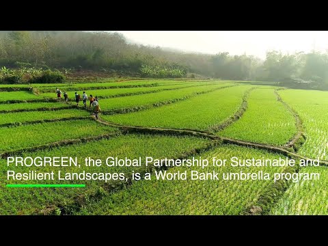 PROGREEN, the Global