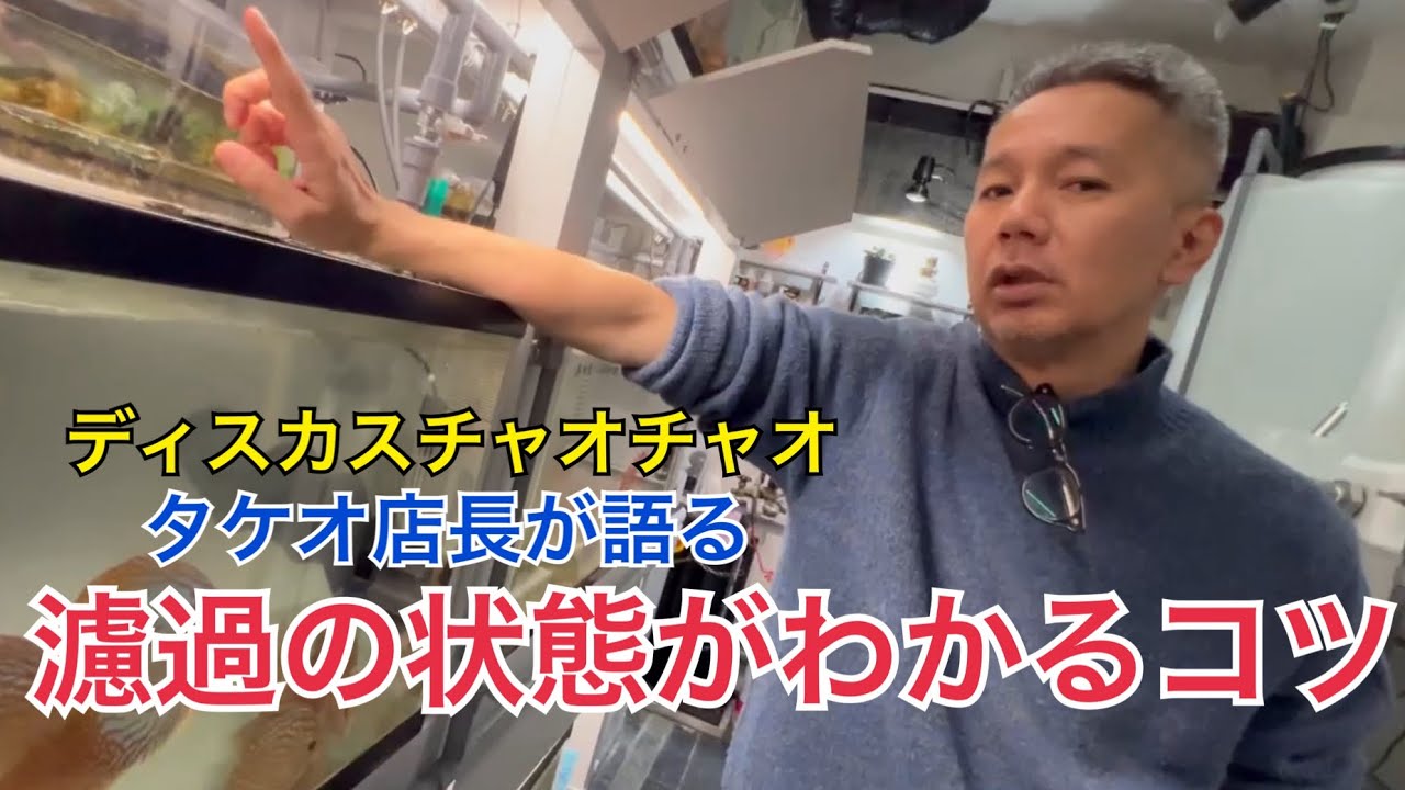 濾過の状態がわかるコツ(スポンジフィルター)