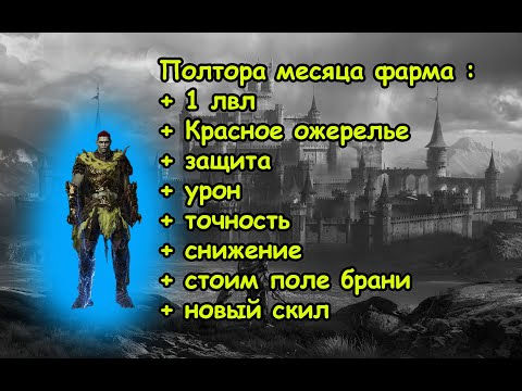 Lineage 2M Буст За месяц Без доната плюс 1 лвл стоим поле брани