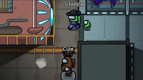 Among Us in a Nutshell