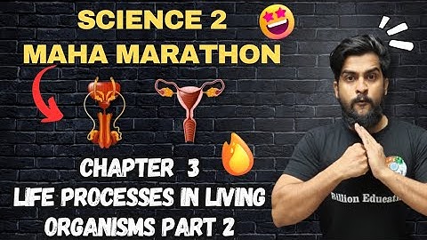 Chapter 3 Life Processes in Living Organisms Part 2 Science 2 One Shot Marathon Lecture Class 10th