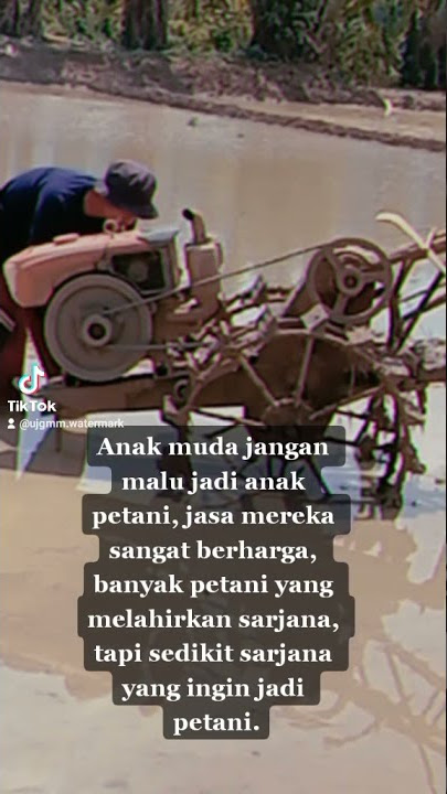story wa anak petani