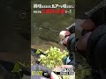 興味はあるのにルアーを喰わない魚、それでも三度目の正直で…！【エリアミノーイング】#shorts