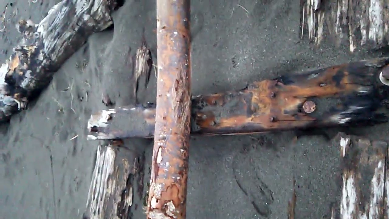 Exploring what's washed up onto the beach (Grayland, Washington-December 2015)