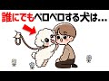 犬がよくやる行動を人間語にしてみた【犬の雑学】