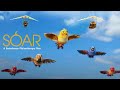 ⛅  Soar: A Salesforce Philanthropy Film