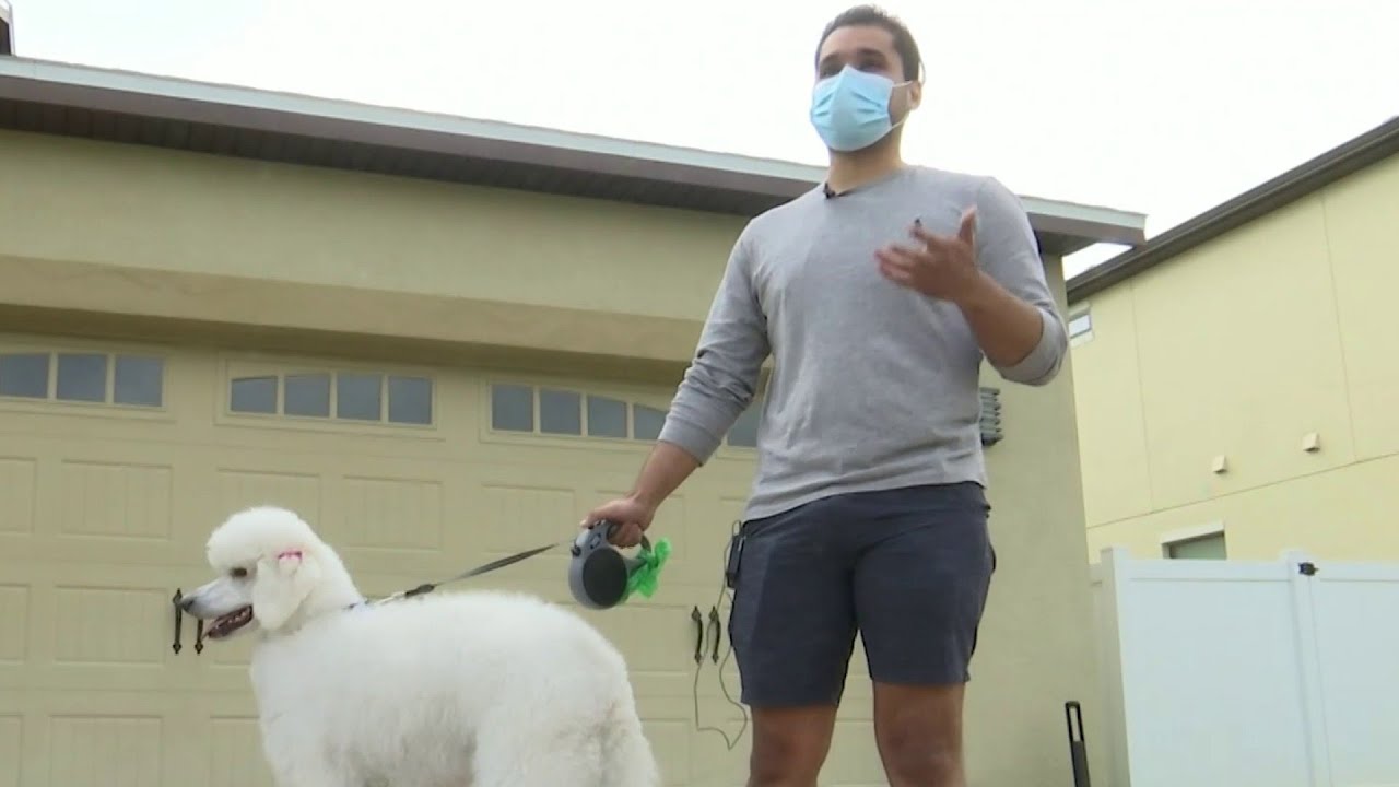 Dog helps save family's home from fire - YouTube