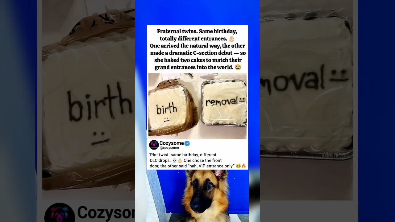 Two Births. One Birthday. 🎂 | Twin Story Gone Viral