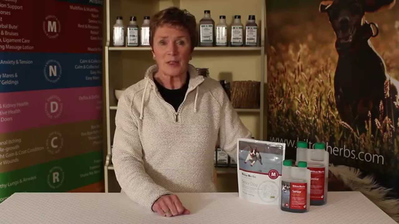 Senior Dog - Herbal Mobility Supplement for Dogs - Product Description