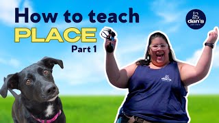 Mastering the 'PLACE' Command (Part 1) Dog Training Basics with Dan's Pet Care