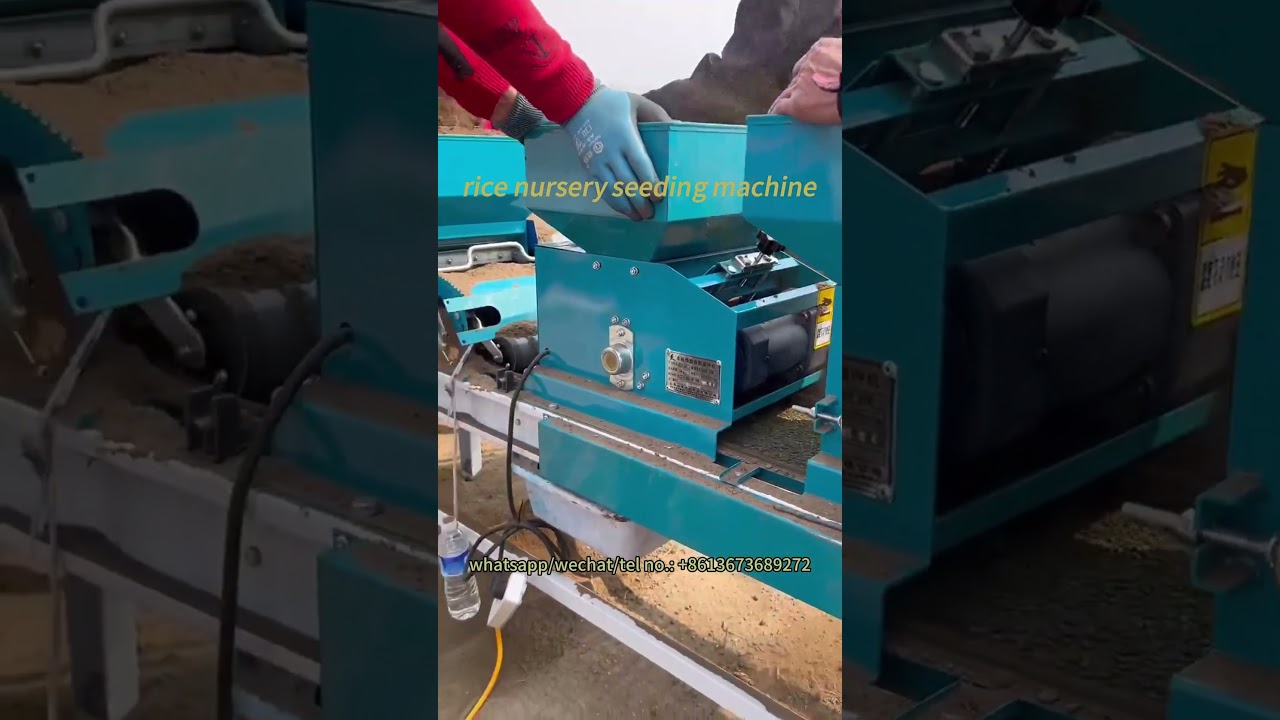 Paddy rice nursery seeding machine for rice seedling raising 