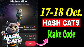 Hash Cats Stake Code Today | 17-18 October HashCats Stake Code | Hash Cats Stake Password Today