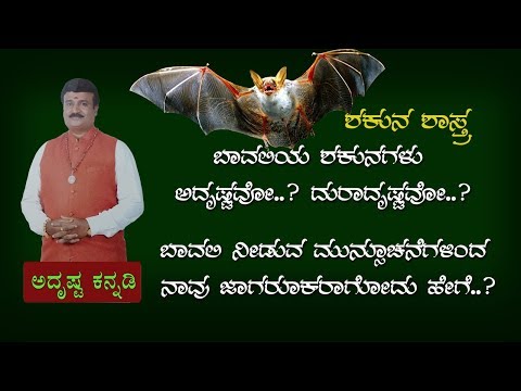 ಬಾವಲಿಗಳ ಶಕುನ ಶಾಸ್ತ್ರ | ಶುಭ ಶಕುನ ಸೂಚಕಗಳು: ಅದ್ರುಷ್ಟ ಕನ್ನಡಿ