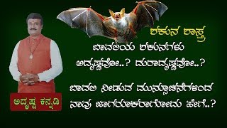 Shakuna Shastra of Bats | Indicators Of An Auspicious Shakuna : Adrustaa Kannadi screenshot 4