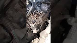 Corsa d(1) Corsa d(1)