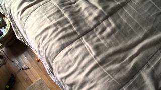 32 Special Winchester, 1923, '94 Series