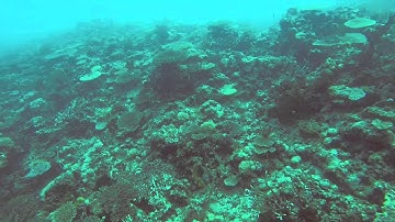 AUV Surveying Mission   GBR HD