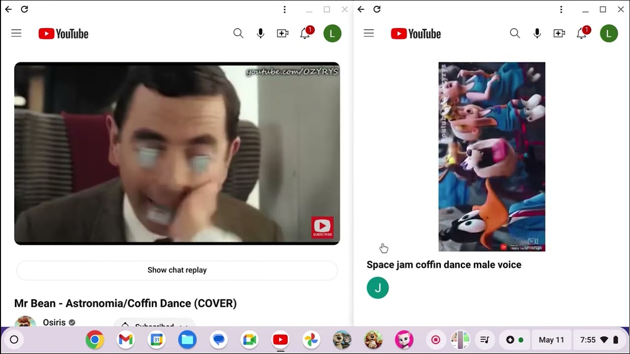 Mr bean and space jam coffin dance