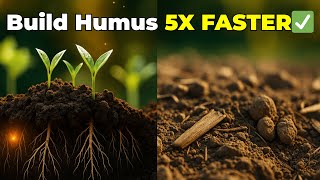 видео: Перестаньте использовать древесную щепу! Эта бесплатная мульча создаёт гумус в 5 раз быстрее и мг... картинка: Перестаньте использовать древесную щепу! Эта бесплатная мульча создаёт гумус в 5 раз быстрее и мг...