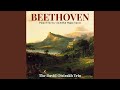 Miniature de la vidéo de la chanson Piano Trio No. 7 In B-Flat, Op. 97 “Archduke”: Ii. Scherzo (Allegro) And Coda