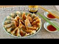 5 Ingredients! Ume Shiso Chicken Gyoza Dumplings (梅しそ鶏餃子 Healthy Jiaozi Recipe) | OCHIKERON