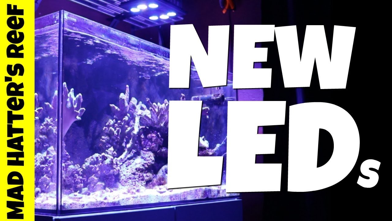Curated visual reference: New Reef Tank Lighting Photo Inspiration