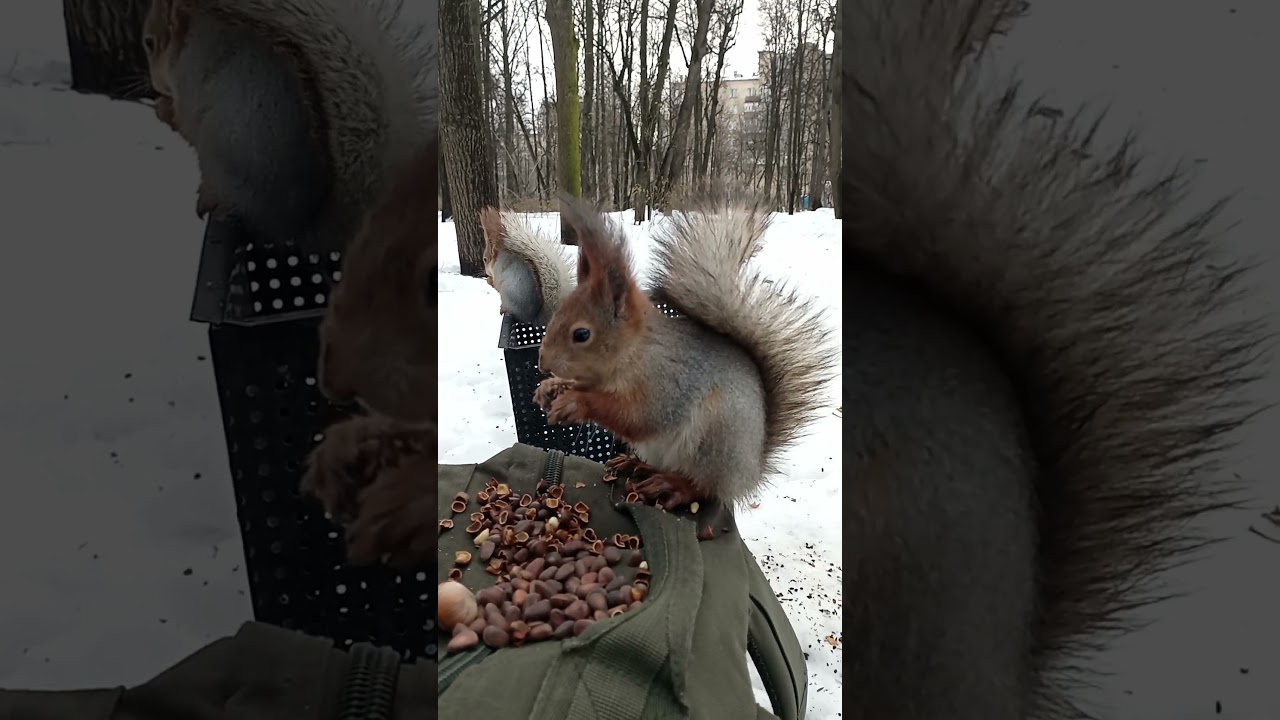 Сидим, едим / We sit and eat