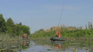видео: СКИНУЛИ ВОДУ І ВЕСЬ КРУПНЯК ВИЙШОВ З БОЛОТА. Рибалка на боковий кивок картинка: СКИНУЛИ ВОДУ І ВЕСЬ КРУПНЯК ВИЙШОВ З БОЛОТА. Рибалка на боковий кивок