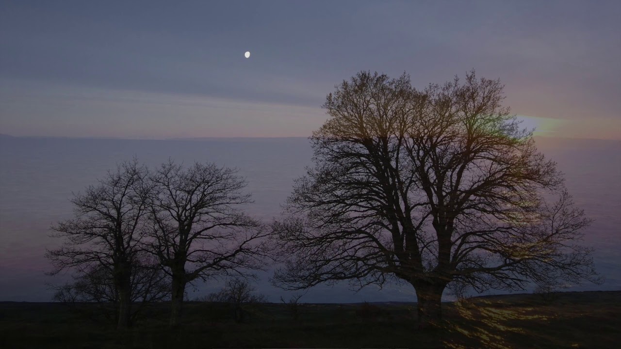 Bright morning stars are rising YouTube